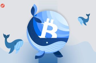 Киты скупают биткоин тоннами: что скрывает накопление 40 000 BTC?